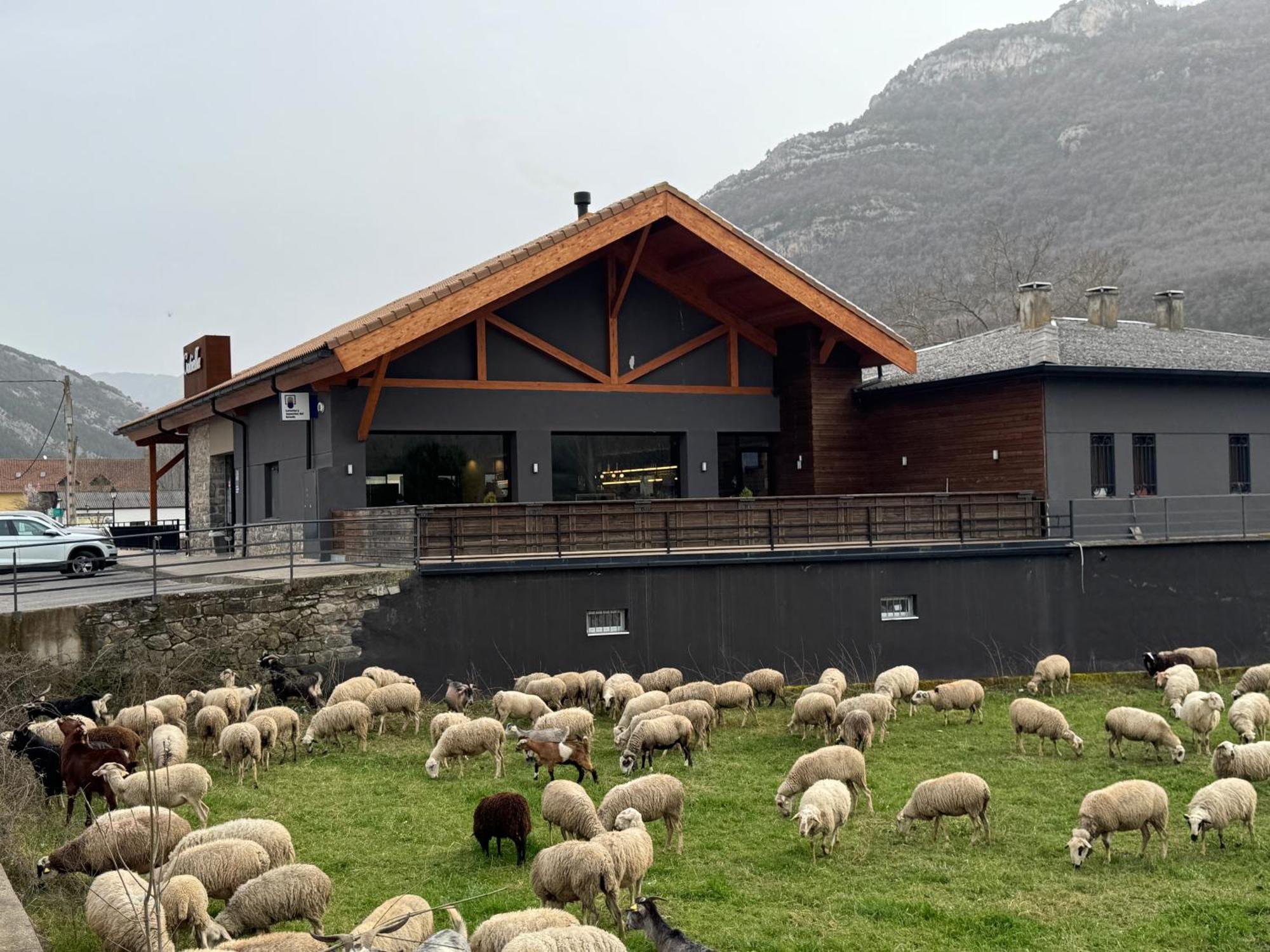 Hotel Cotiella Campo  Extérieur photo